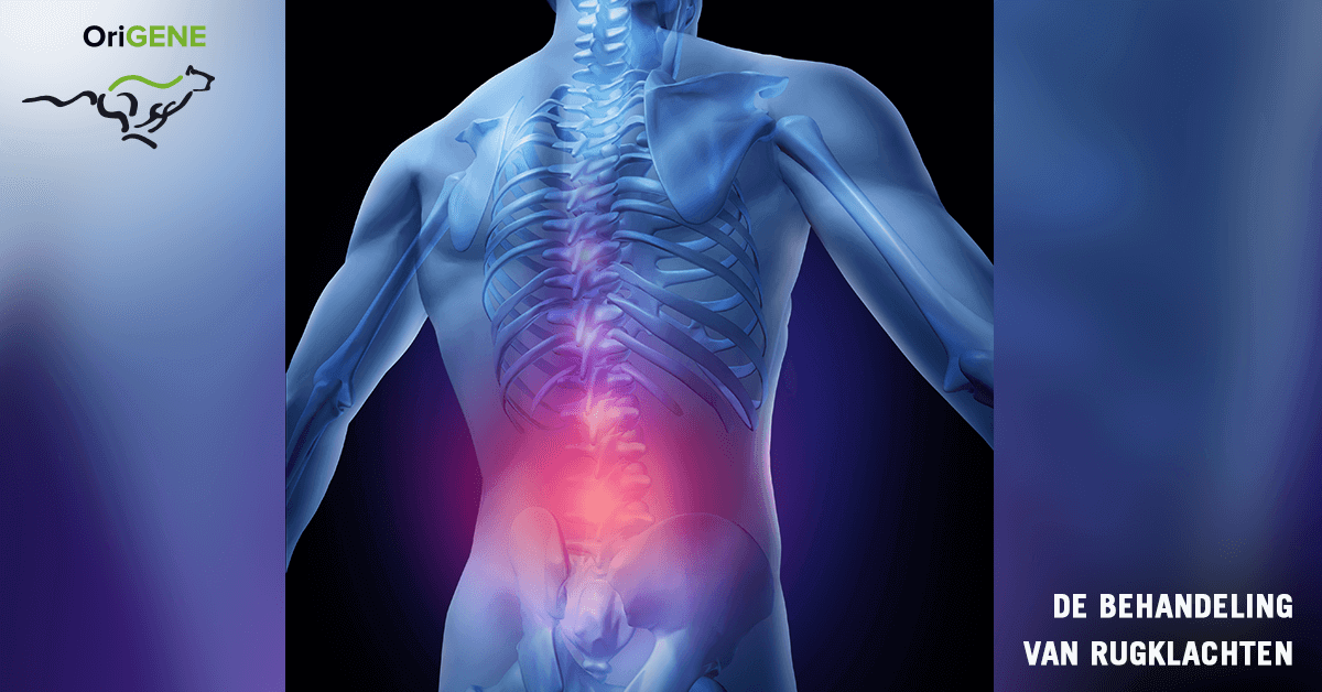 Osteoporose: wat is het en wat kan je er aan doen?