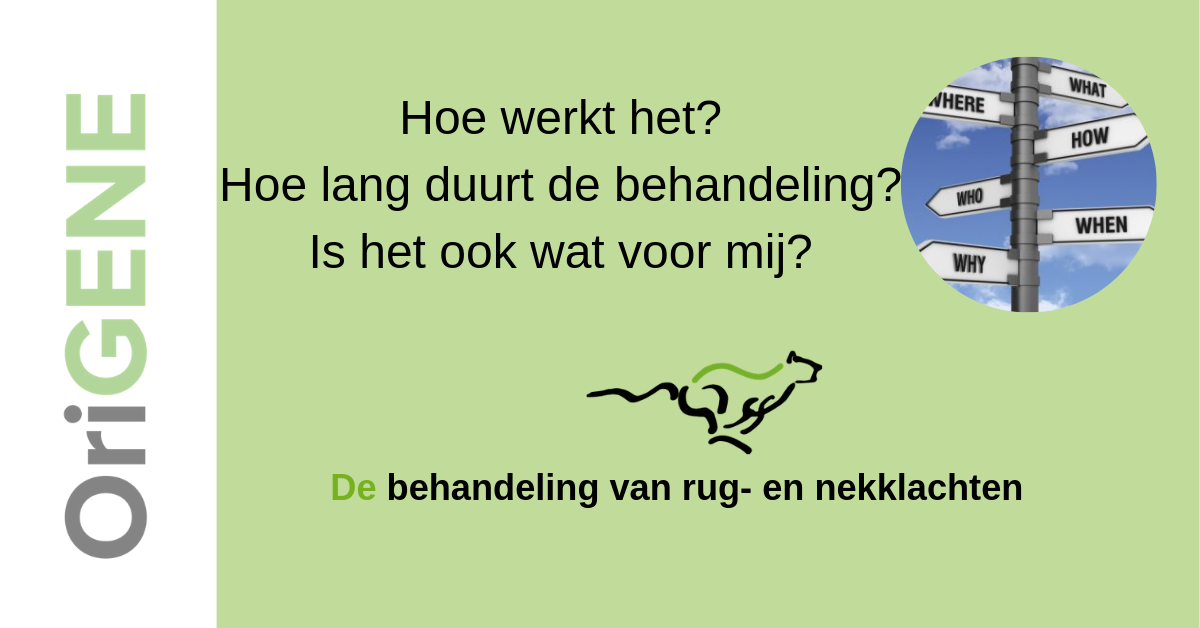 Hoe, wat en voor wie?