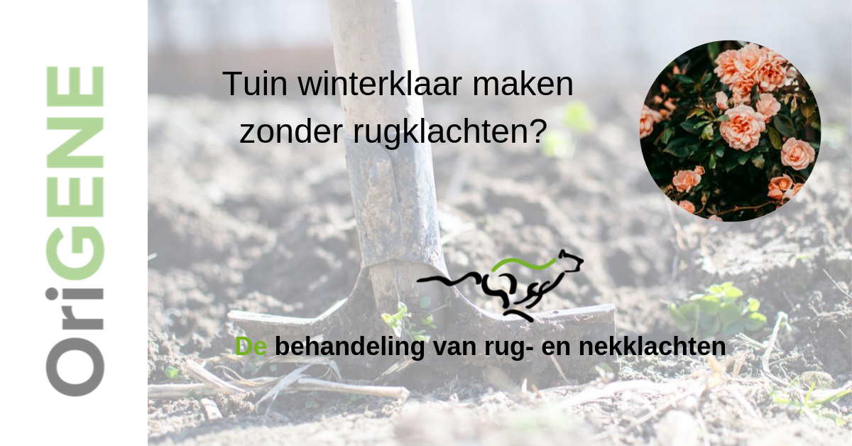 Tuin winterklaar maken zonder rugklachten?