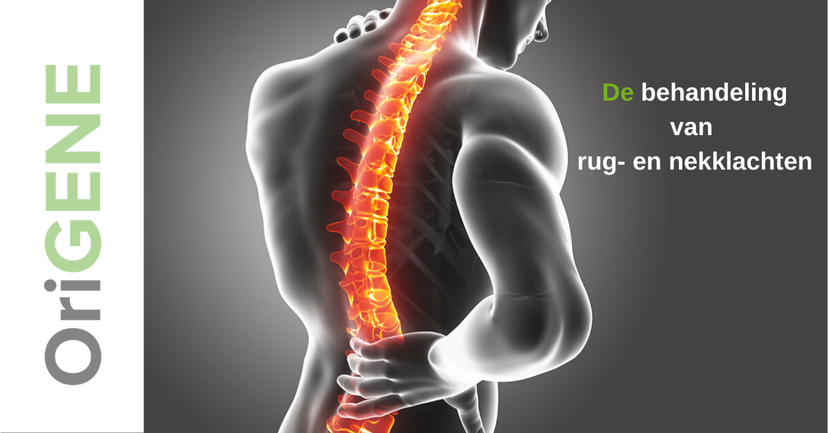 Hernia, spit of ischias?