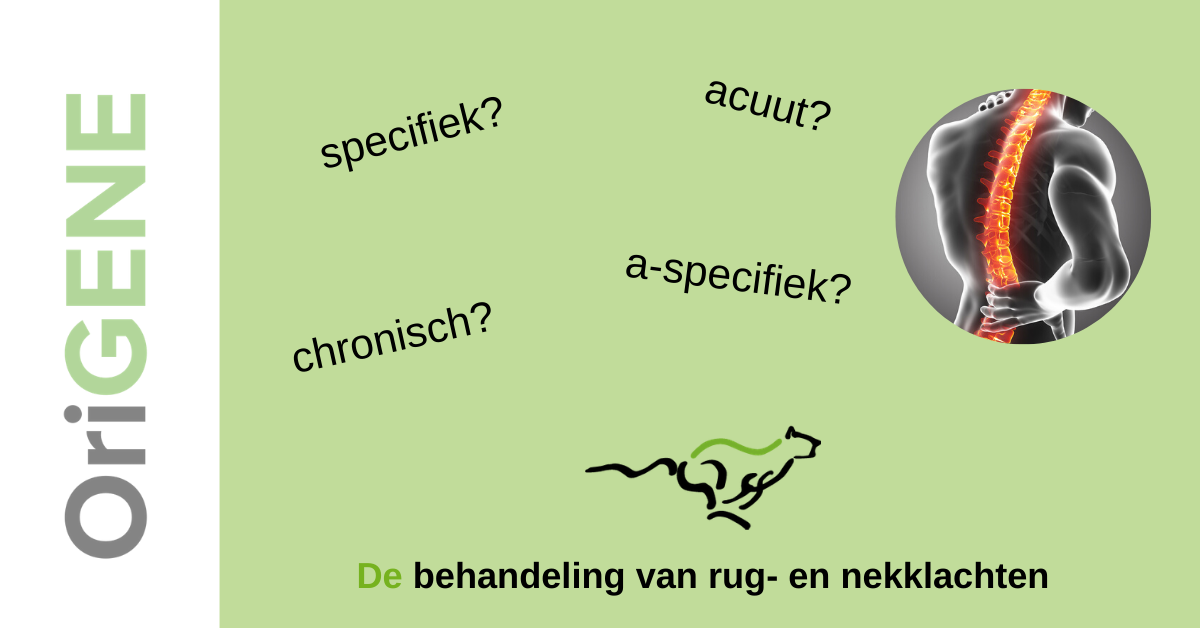 A-specifiek, acuut, specifiek, chronisch?