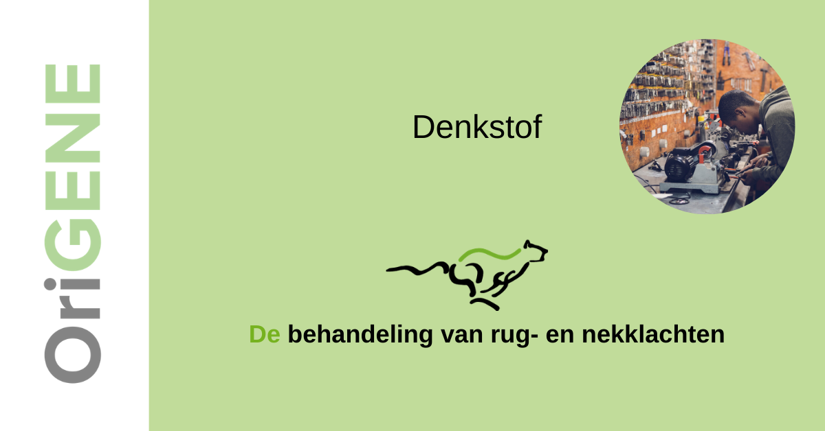 Denkstof: de echte vakman
