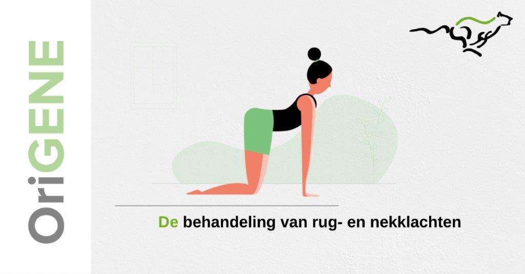 Rugoefening 1: kat en hond