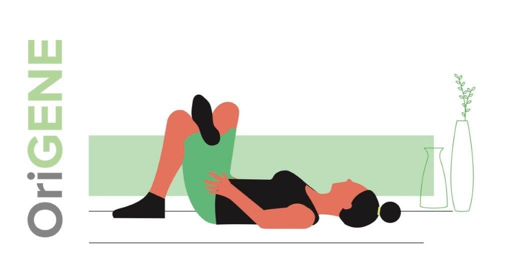 Rugoefening 3: de liggende zit