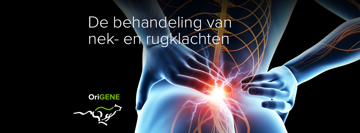 Ischias, wat is het en wat kan je er aan doen?