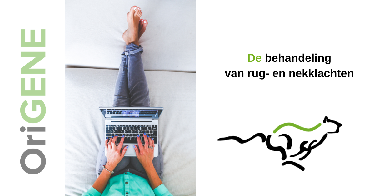 “Houd je rug gezond tijdens thuiswerken, door deze essentiële oefening tegen rugklachten!”