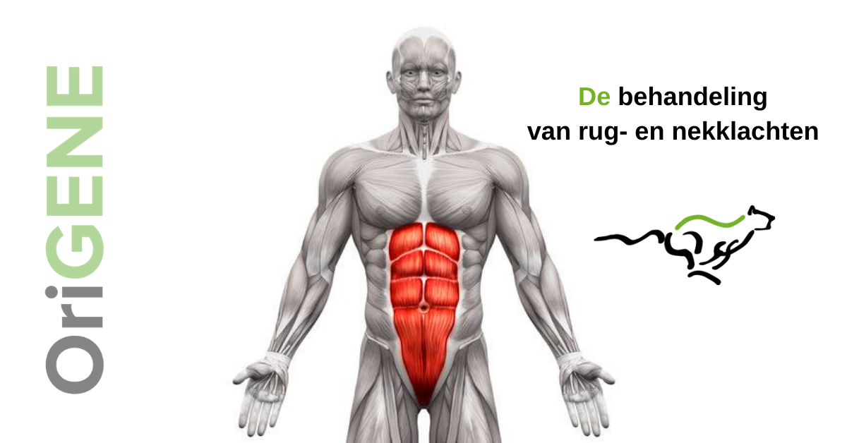 Buikspieren en rugklachten