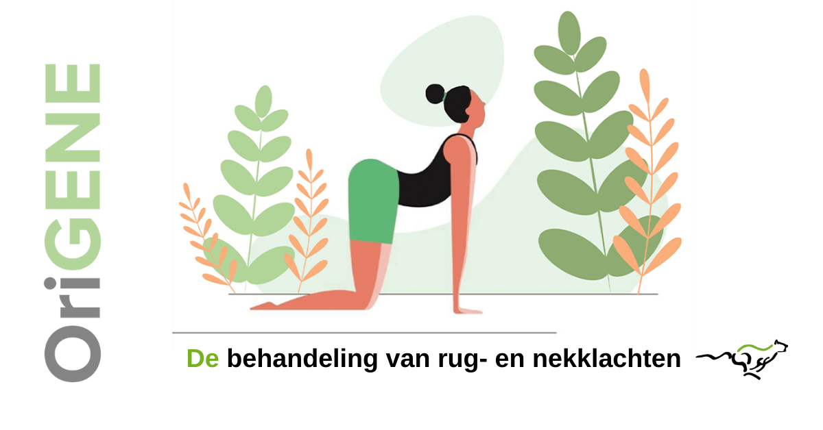 Huiswerk&shy;oefeningen voor rug en nek